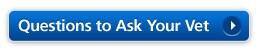 Questions to Ask Your Vet