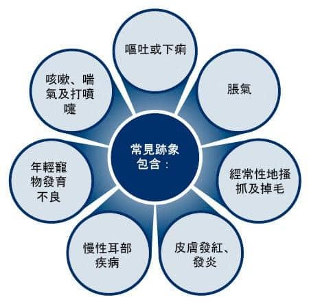 Common signs of food allergies and food intolerance