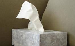 Managing Allergies to Cats