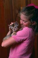 Kitten with owner image