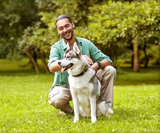 man-in-green-shirt-pets-husky Man in a green shirt with a beard pets Siberian Husky in the park.