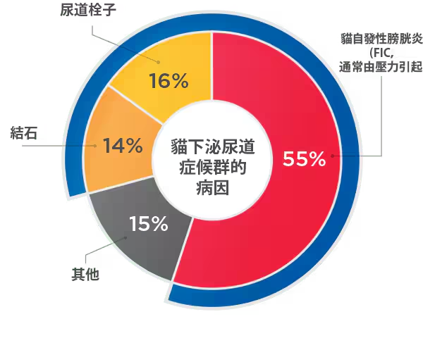 貓下泌尿道症候群病因圖