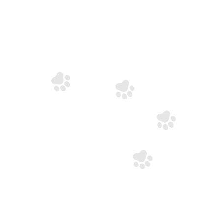 腳印