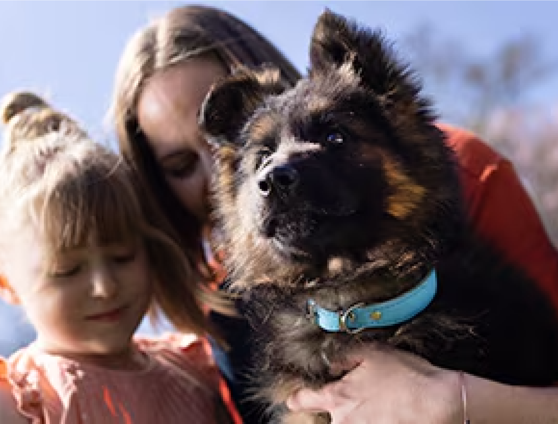 一名女性和一名女孩抱著一隻幼犬
